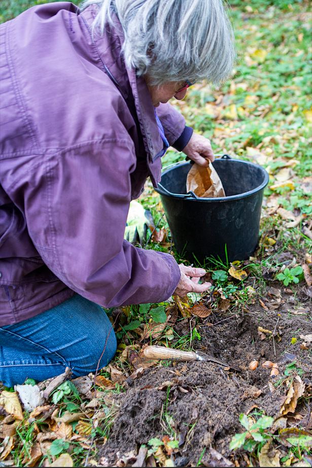 credits: natuurwerkdag.nl